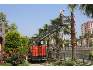 Erdemli’de Sahil Bandı Ve Parklar Yaza Hazırlanıyor