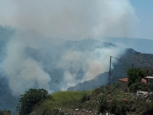 Ormanlık Alandaki Yangın Paniğe Neden Oldu