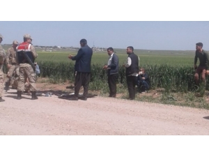 Tarlada Su Borularını Kesen Hırsızlar Suçüstü Yakalandı