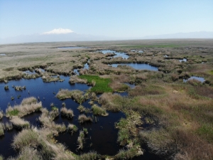 Kayseri’de ’Sultan Sazlığı’ Mutluluğu