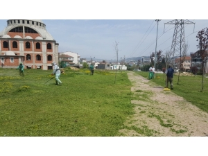 İzmit Parkları Bakımdan Geçiyor