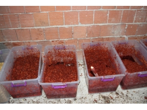 Geri Dönüşüm Fabrikasında Kaçak Nargile Tütünü Ürettiler