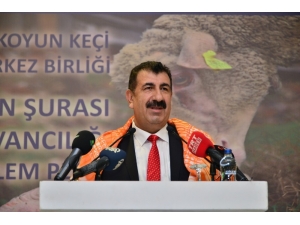 Tüdkiyeb Başkanı Çelik’ten Çiftçiler Günü Mesajı