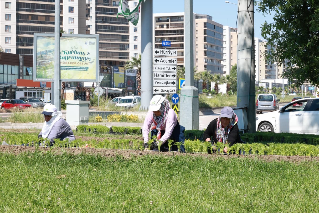 bu-yaz-osmangazi-de-cicek-kokulari-eksik-olmayacak