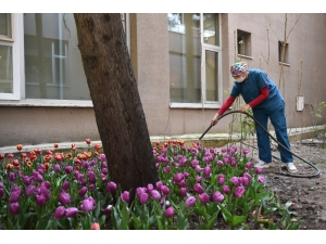 Pandeminin Kalbinde Güçlü Dayanışma