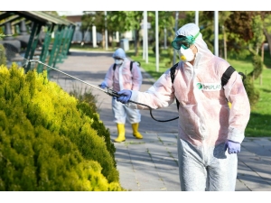 Ankara’da Sinek Ve Haşerelere Karşı İlaçlama