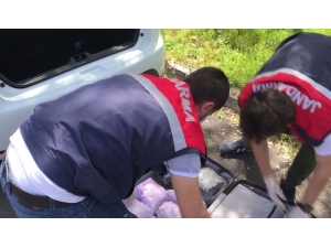 Jandarmadan Uyuşturucu Şebekesine Darbe: 8 Gözaltı