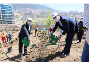 Kahramanmaraş’ta 400 Sağlık Çalışanı İçin 400 Fidan