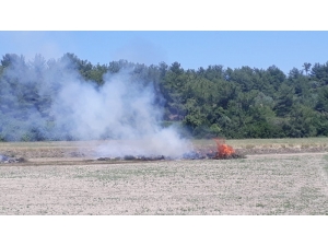 Anız Yakma Dönemi Başladı