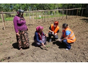 Atakum’dan 600 Üreticiye 21 Bin Fide Desteği