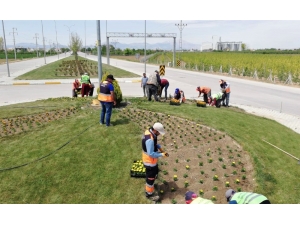 Karaman’da Kavşaklar Çiçeklerle Donatıldı