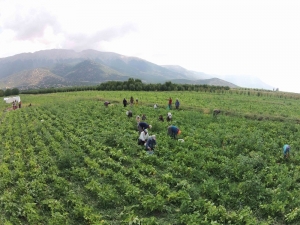 Isparta’da Sulama Sezonu Başladı
