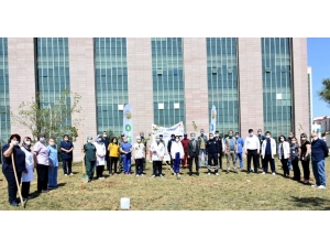 Hemşireler Adına Fidan Dikildi