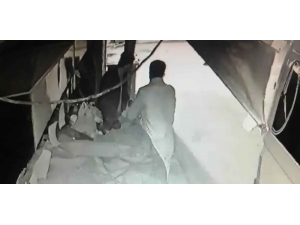 Arsız Hırsızlar Yakayı Ele Verdi