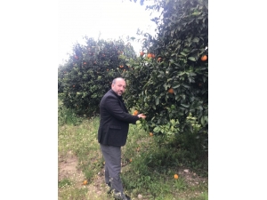 Yatırım Uzmanı Altunç’tan Salgın Sonrası “Yeni Dünya Düzeninde Türkiye” Analizi