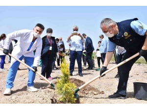 İzmir’de Sağlık Çalışanlarının Adına Hatıra Ormanı Oluşturuldu