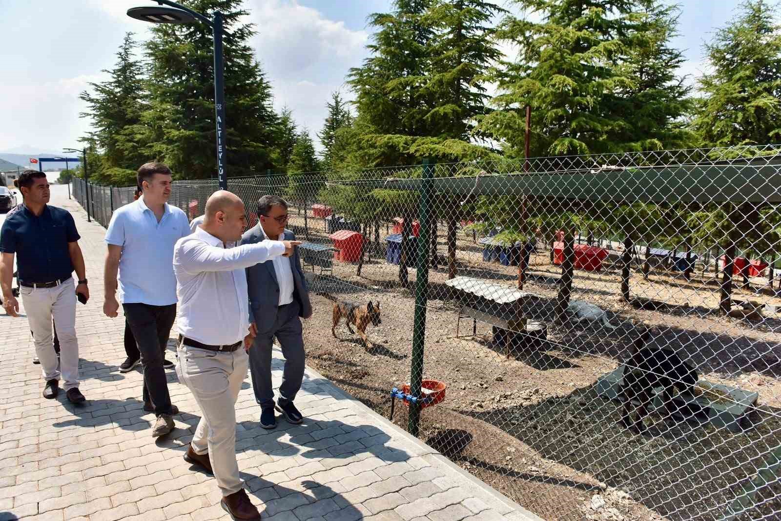 baskan-hakan-sehirli-hayvan-bakimevi-ni-ziyaret-etti