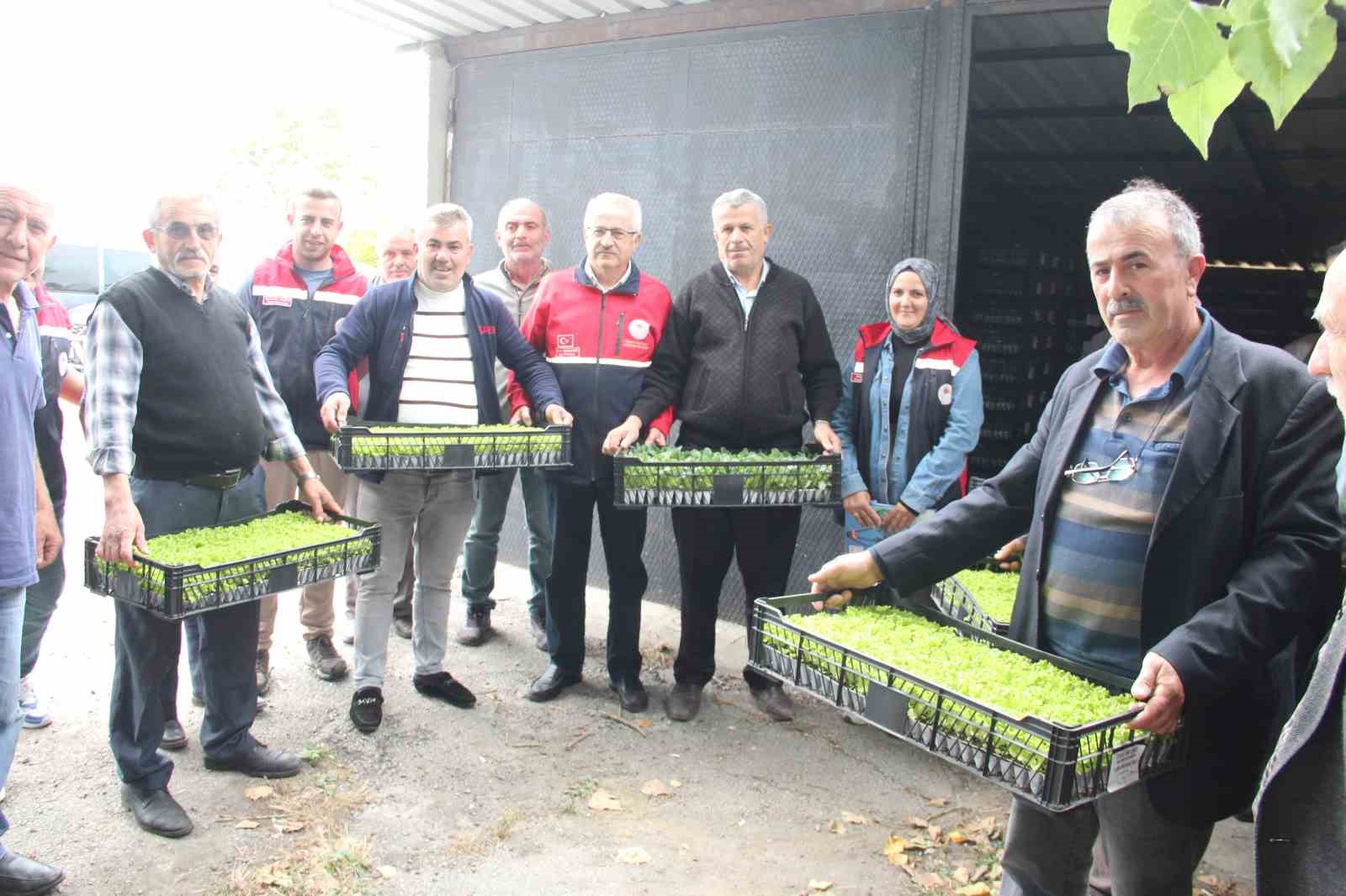 inebolu-da-65-ciftciye-88-bin-400-adet-sebze-fidesi-dagitildi