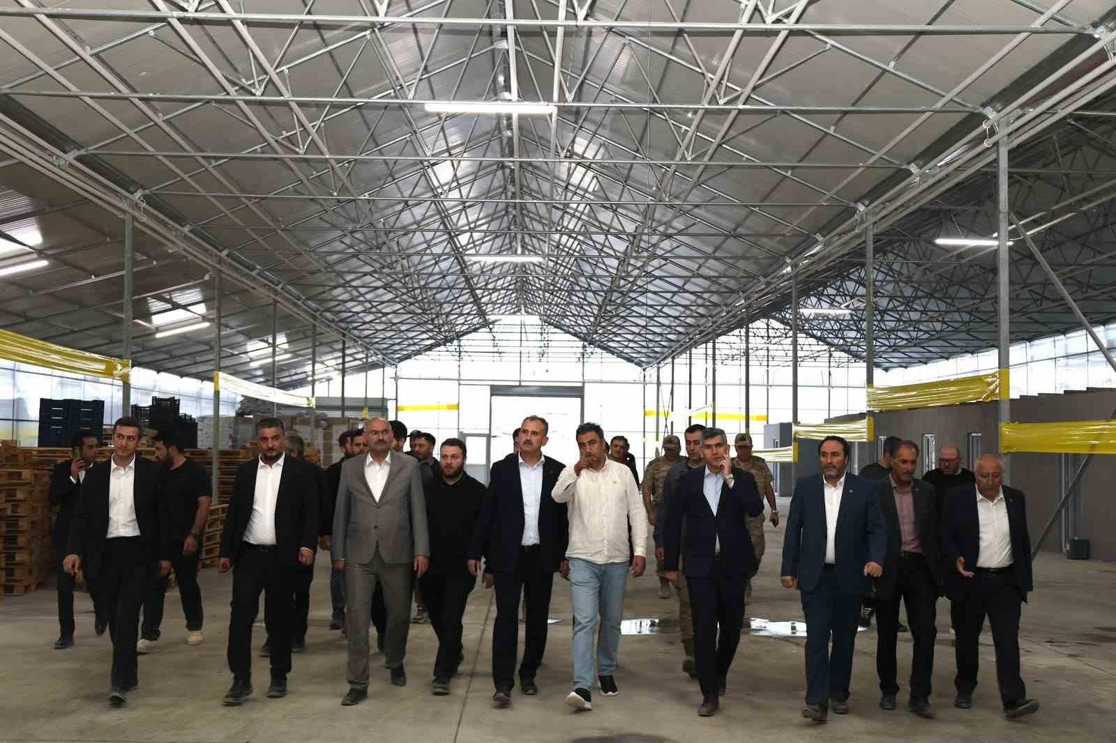 vali-bozkurt-diyadin-jeotermal-sera-osb-de-incelemelerde-bulundu