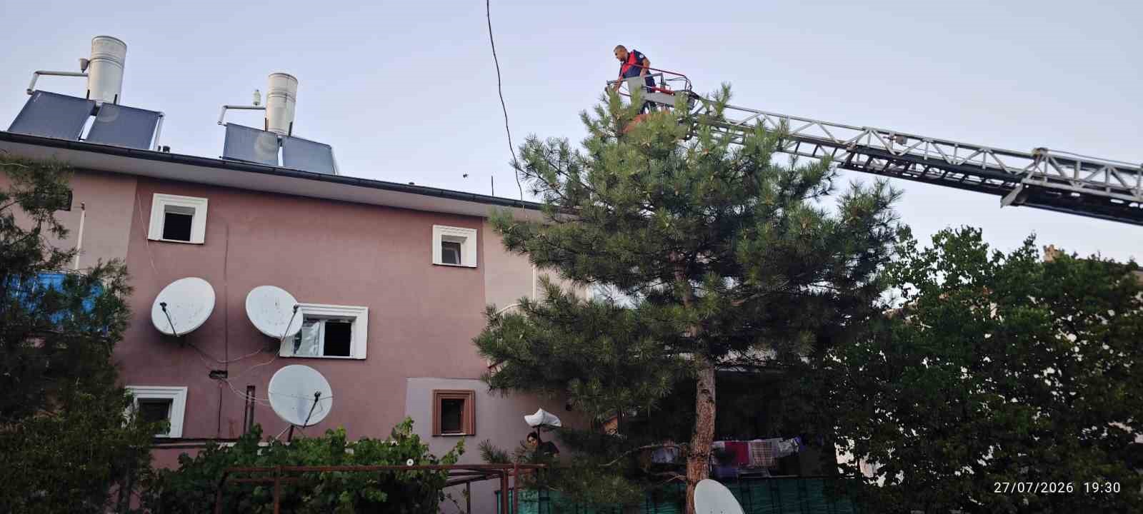 apartman-catisinda-mahsur-kalan-kedi-itfaiye-ekiplerince-kurtarildi