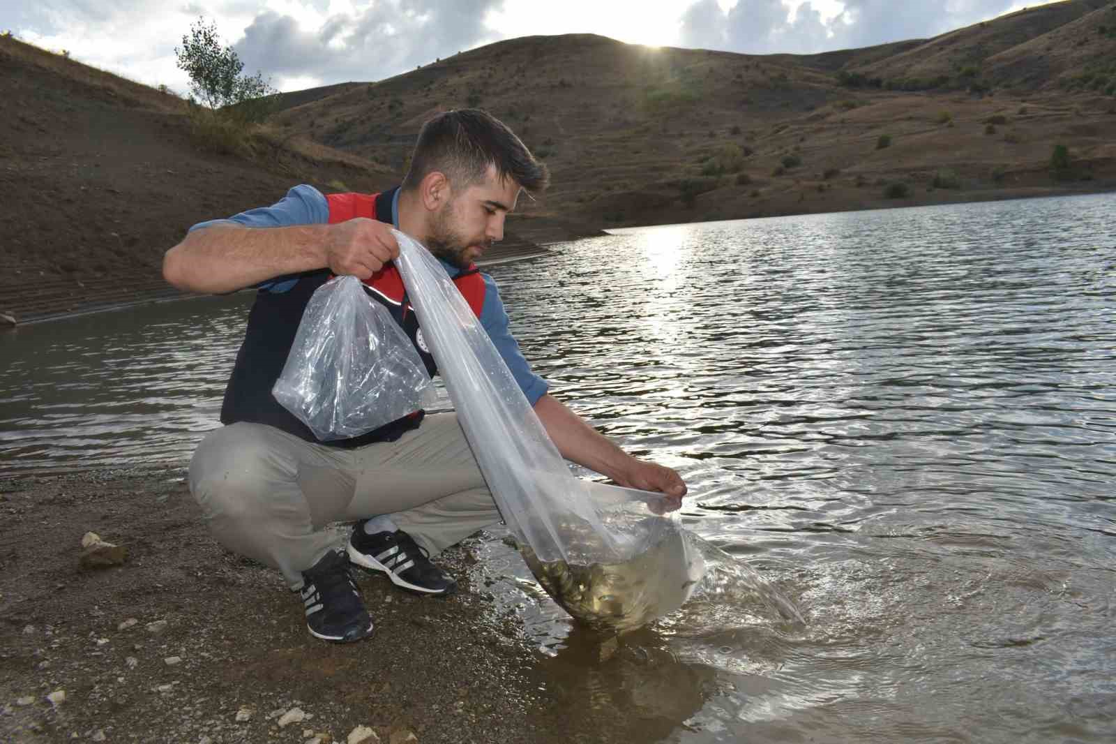 bayburt-taki-goletlere-150-bin-sazan-yavrusu-birakildi