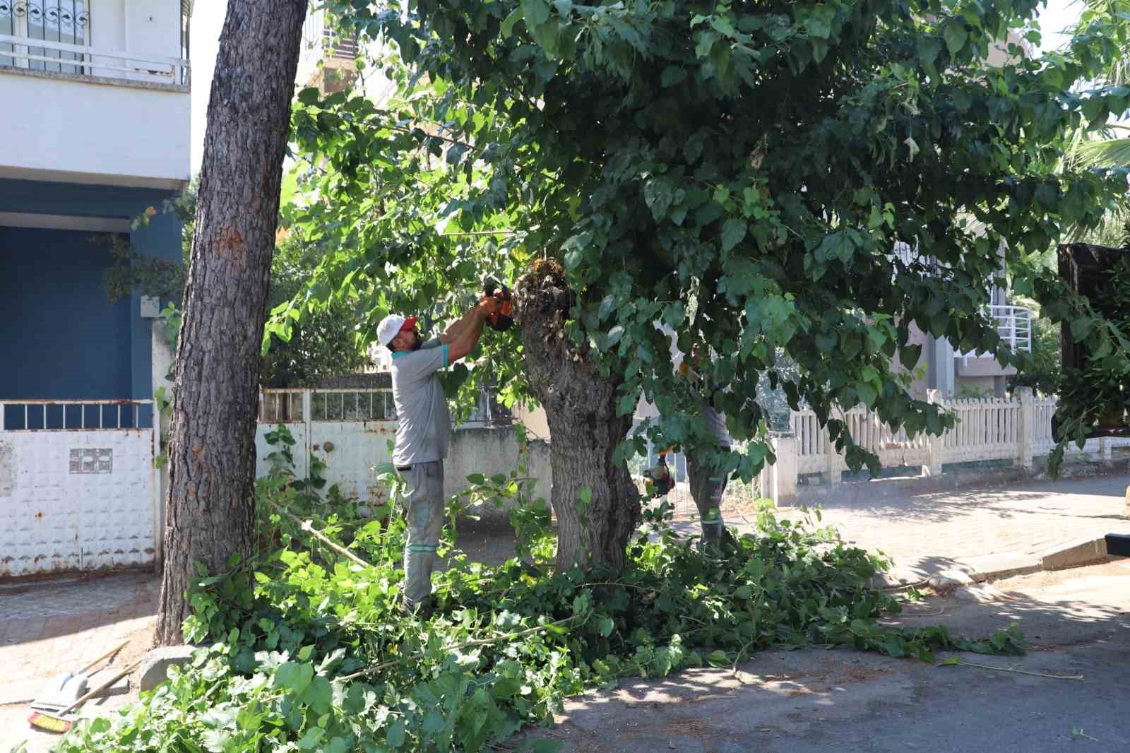nazilli-de-yesil-alanlarda-sonbahar-hazirligi