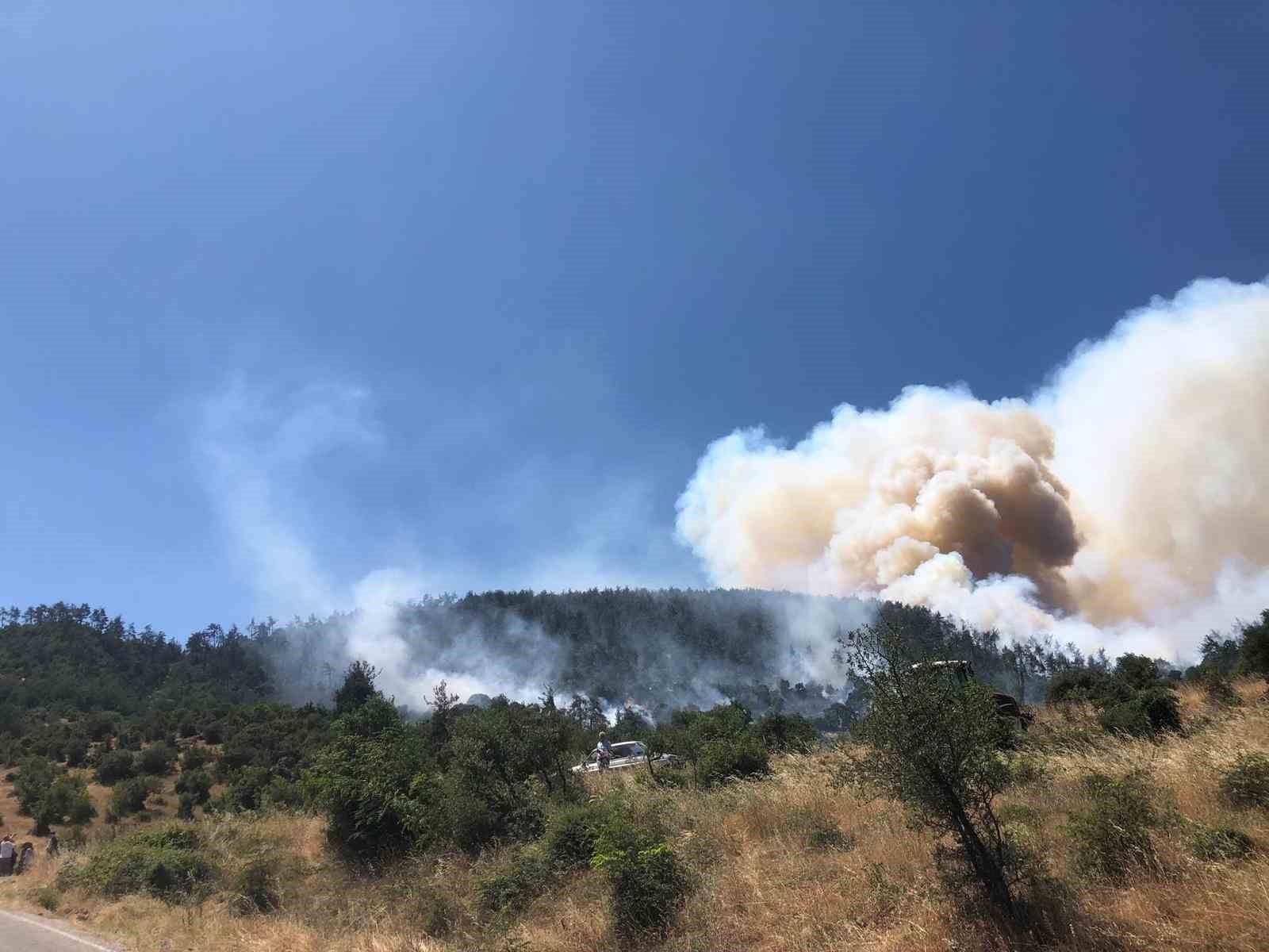 balikesir-kepsut-ta-orman-yangini