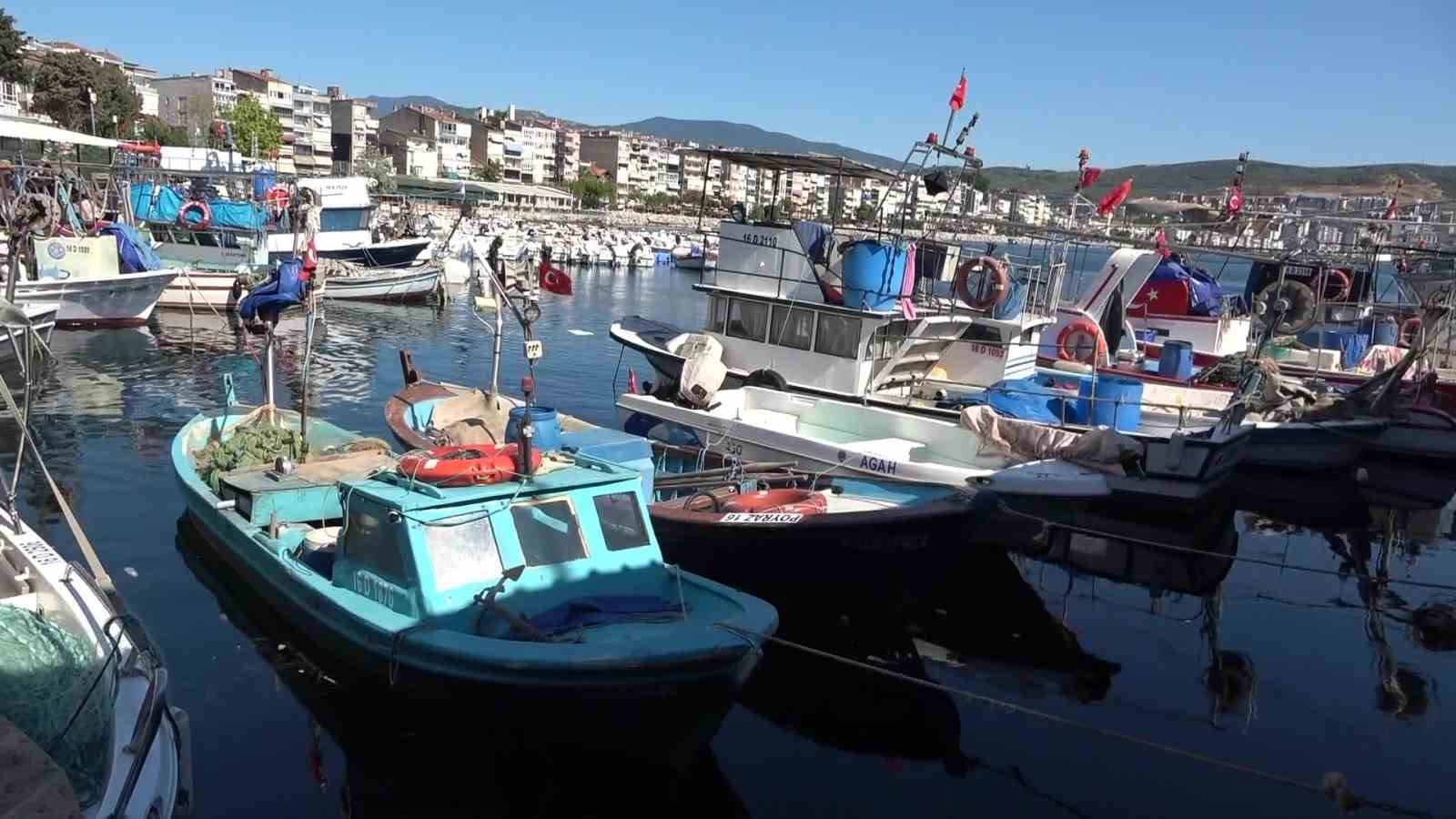 marmara-nin-emektar-balikcilari-musilaj-ve-bilincsiz-avlanmadan-sikayetci