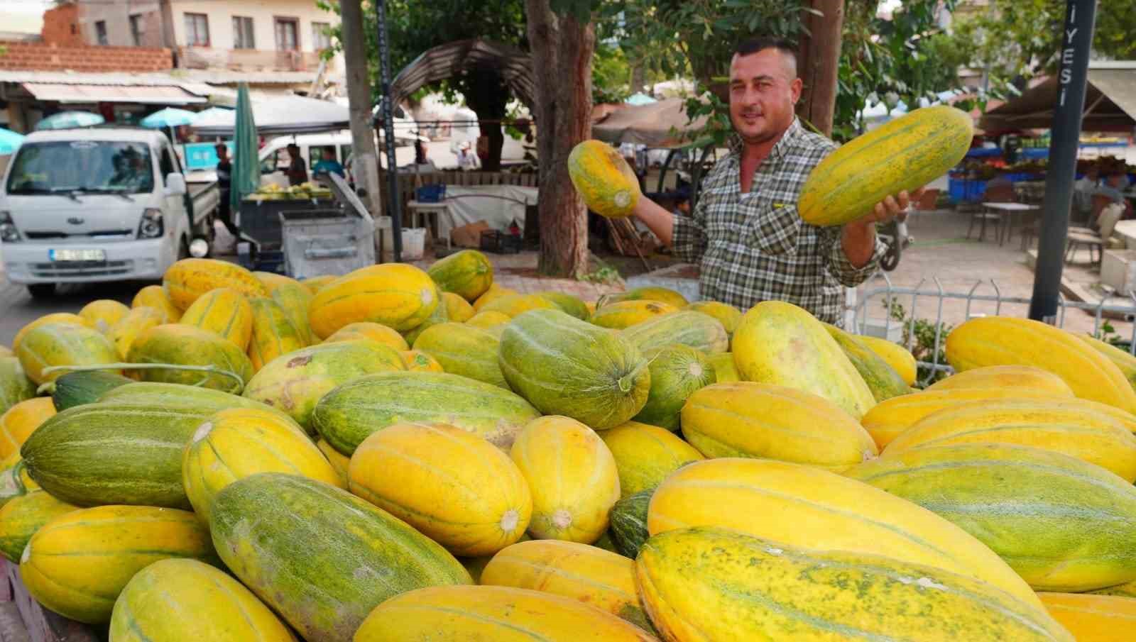 tavan-arasindan-cikan-tohumlar-altinbas-kavununu-yeniden-canlandirdi