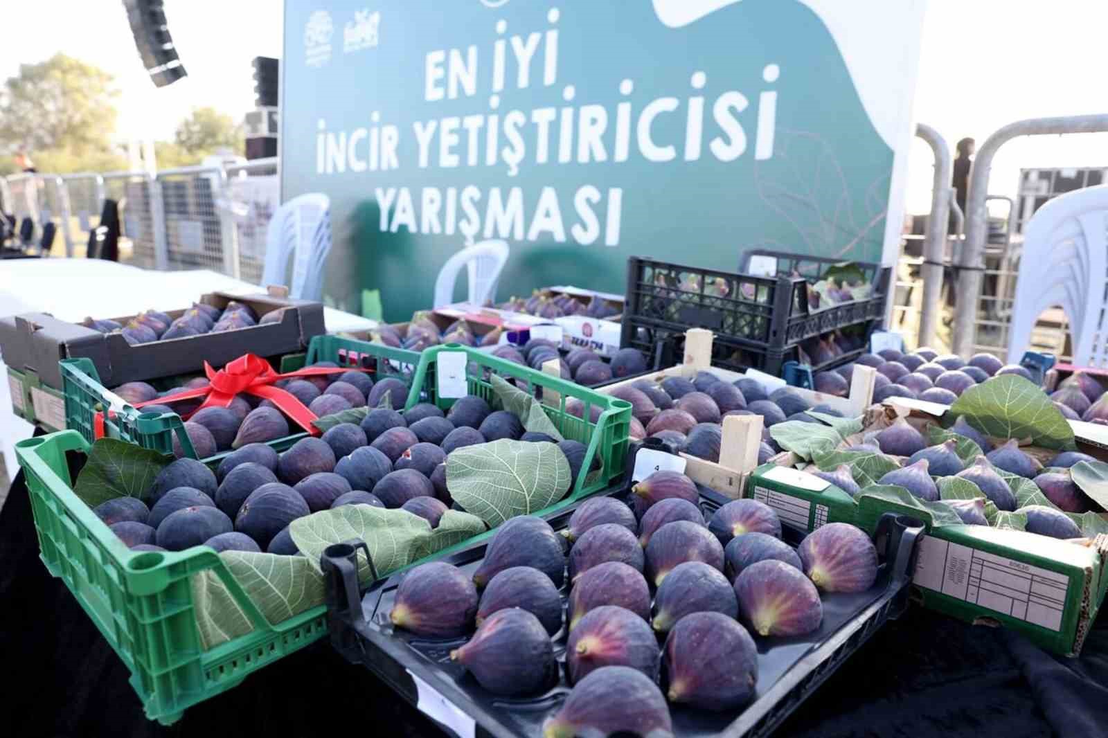 12-akcalar-fadilli-incir-festivali-13-eylul-de-akcalar-gol-kiyisi-nda