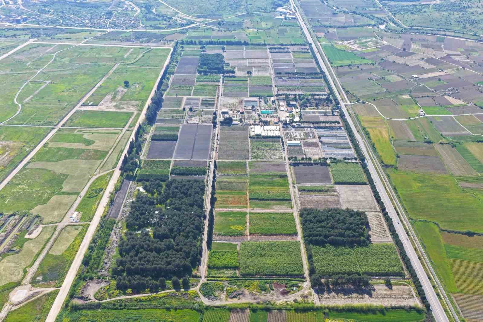 yesil-vatan-icin-fidan-seferberligi-suruyor