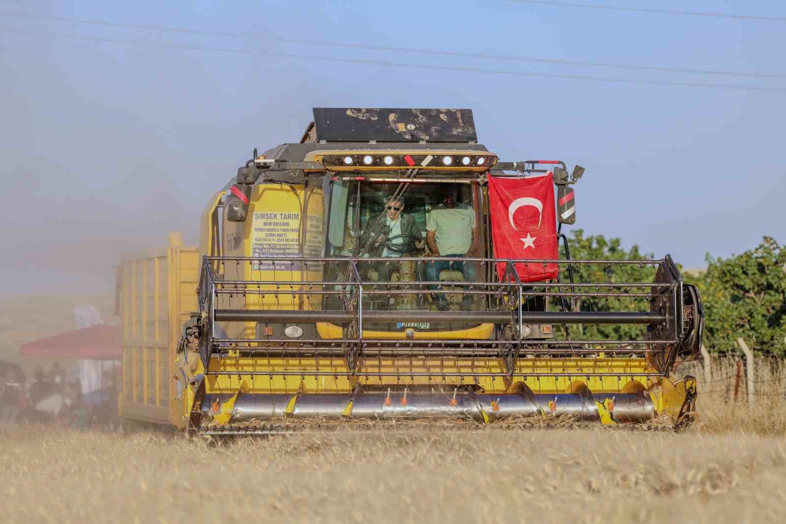vali-akkoyun-mardin-de-1-milyon-279-bin-dekarlik-alanda-bugday-ekimi-yapildi