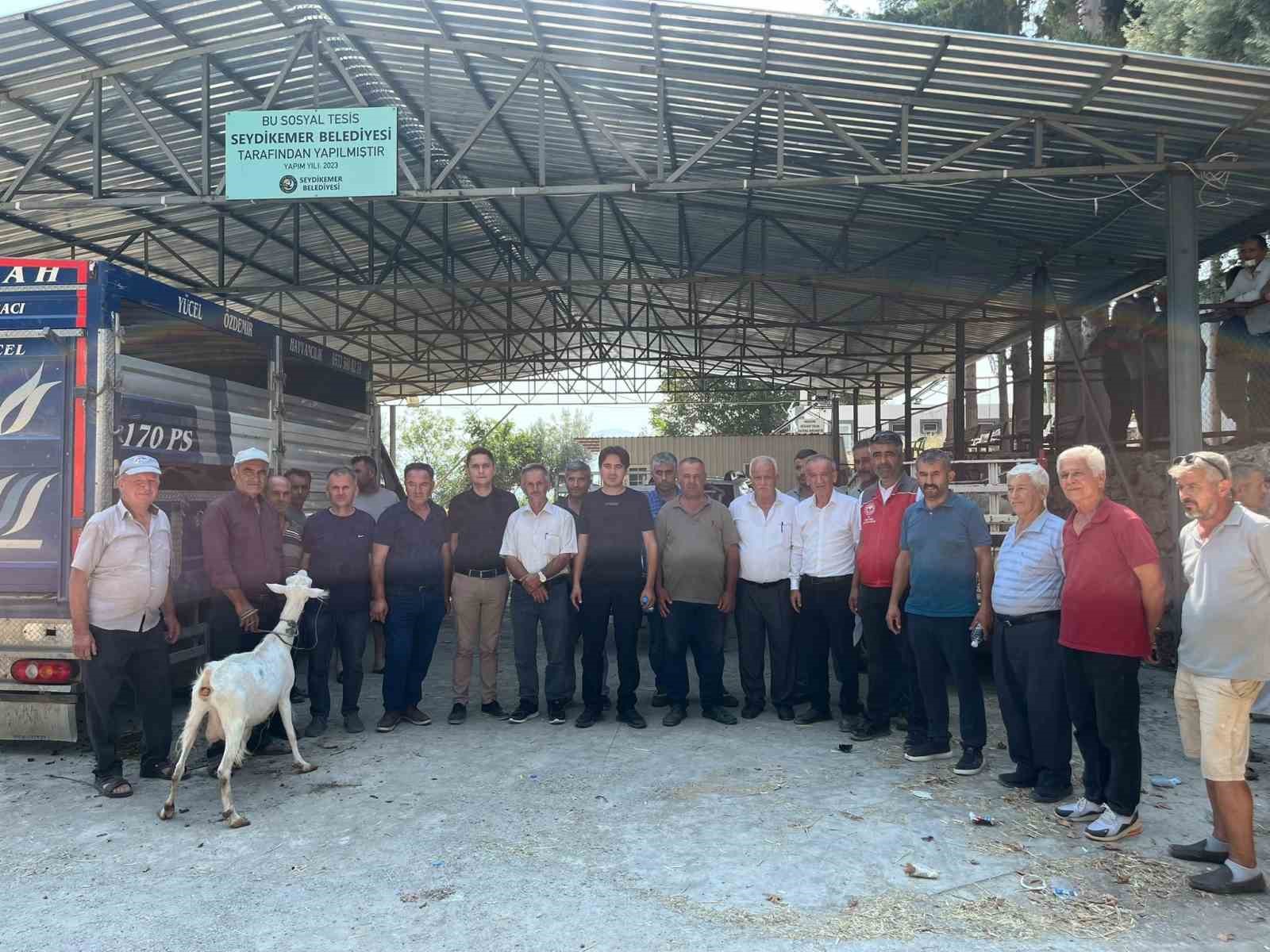 seydikemer-de-yanginda-hayvanlarini-kaybeden-ciftcilere-kucukbas-hayvan-destegi