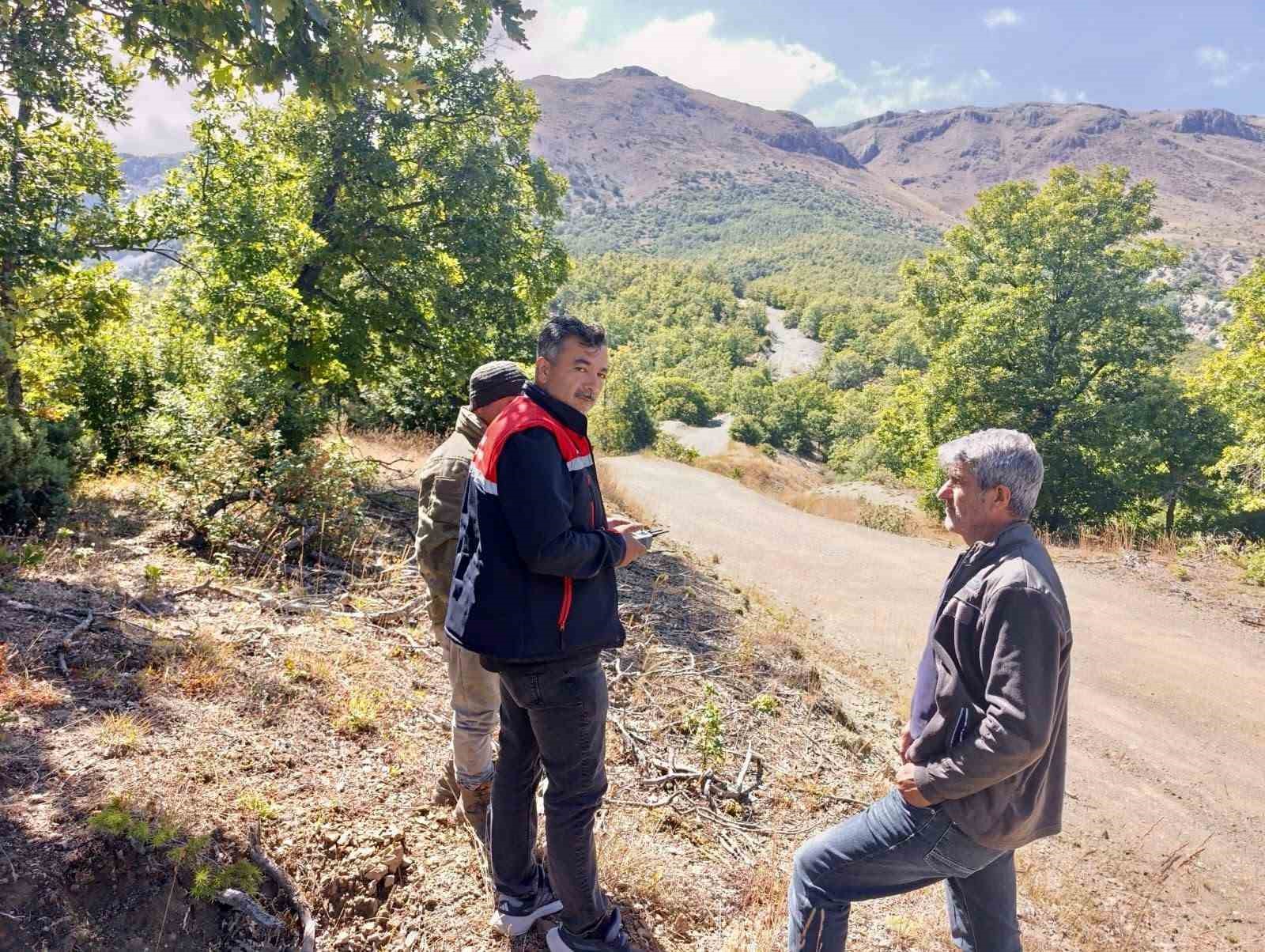 kaybolan-9-buyukbas-hayvan-dron-ile-bulundu