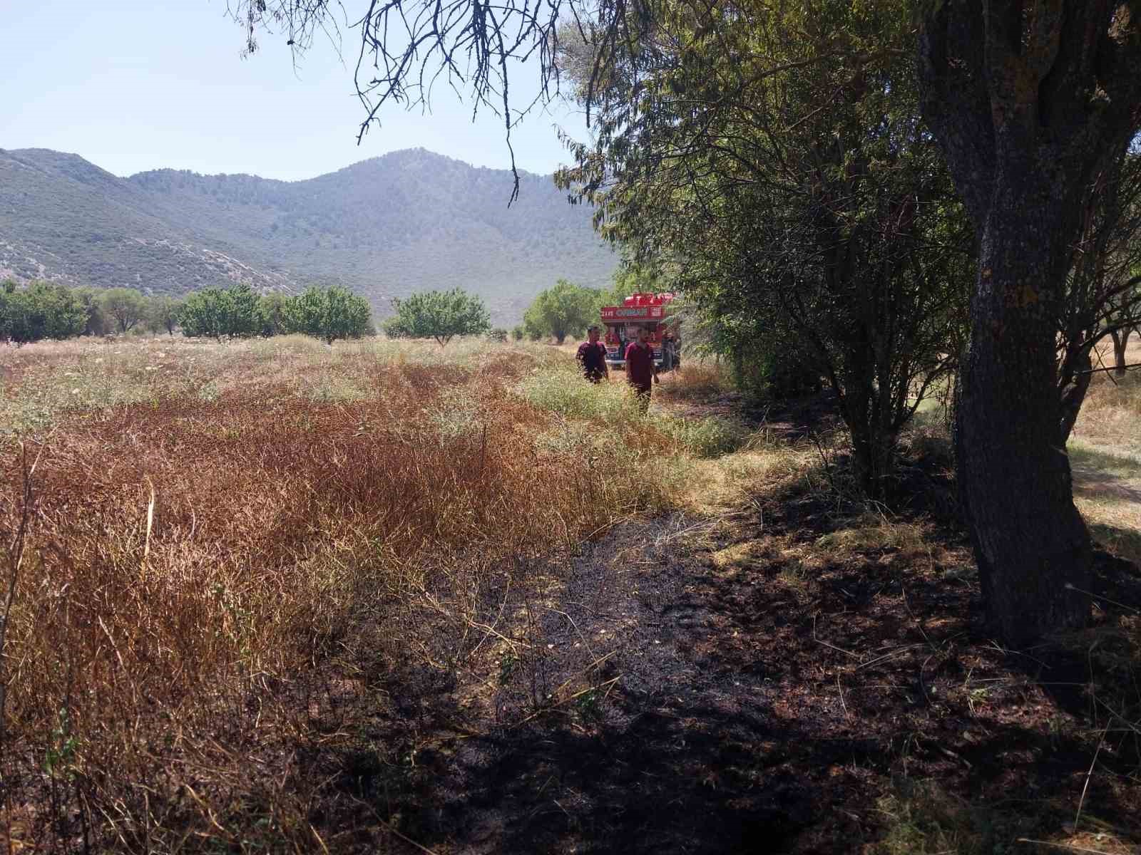 burdur-da-tarlada-yangin