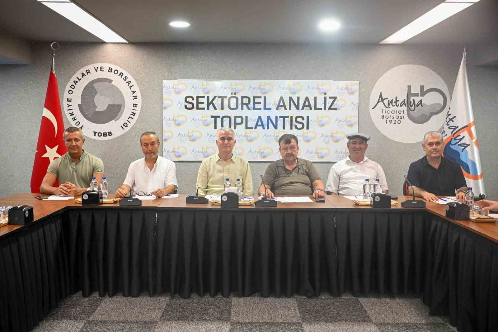 zeytinde-rekolte-beklentisi-yuzde-40-artti