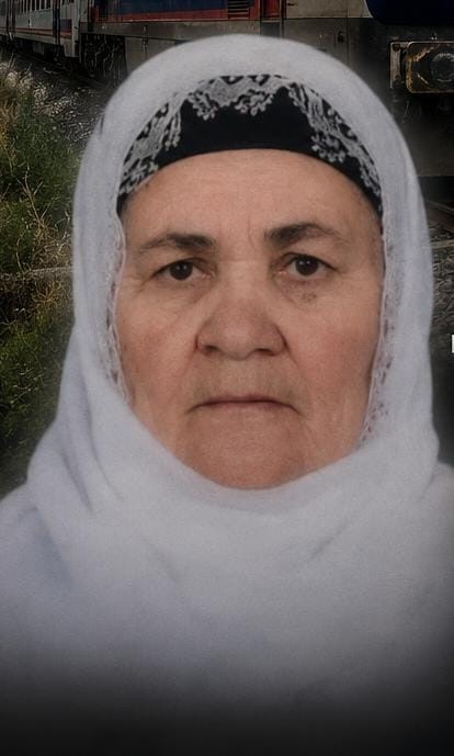 tatvan-da-trenin-carptigi-yasli-kadin-hayatini-kaybetti