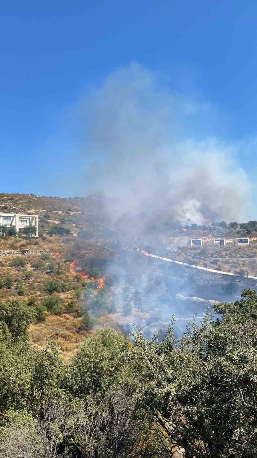 bodrum-da-makilik-yangini
