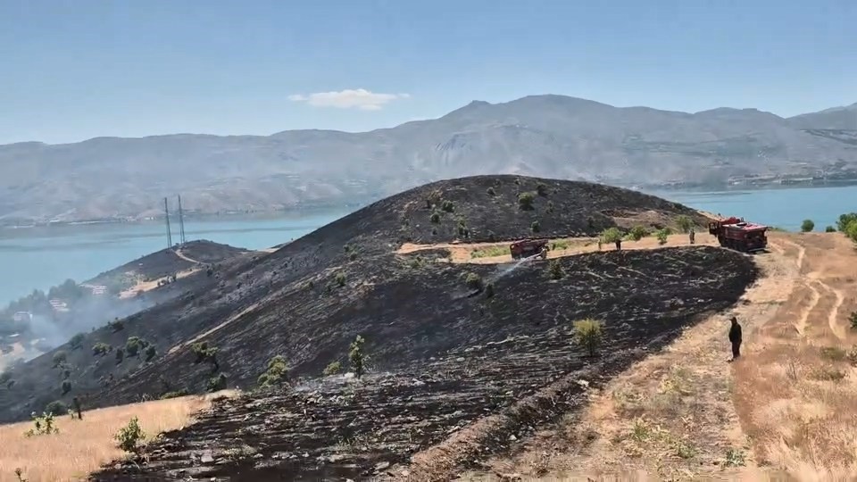 elazig-da-cikan-arazi-yangini-sonduruldu