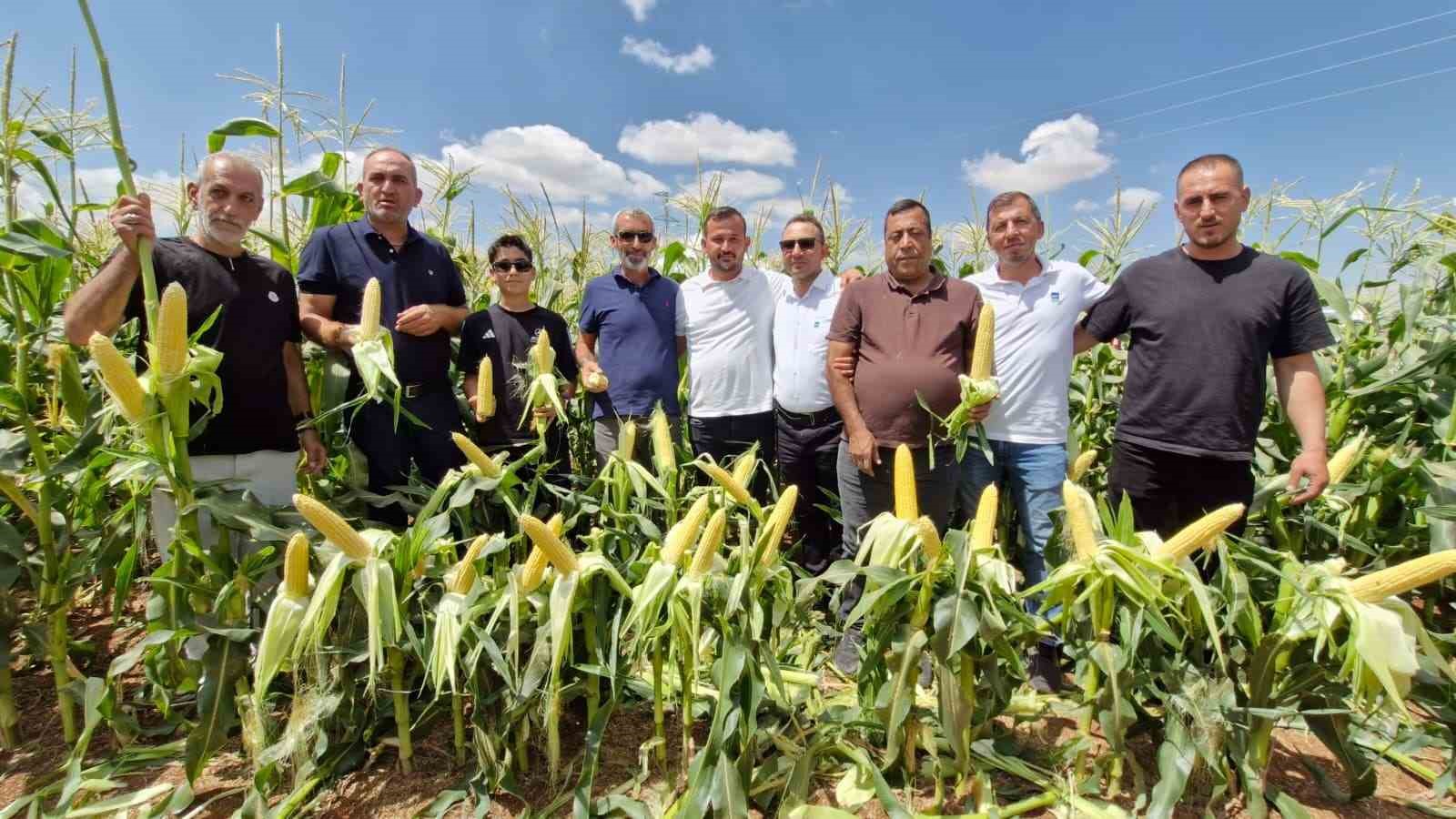 karaman-da-5-yeni-misir-turu-gorucuye-cikti