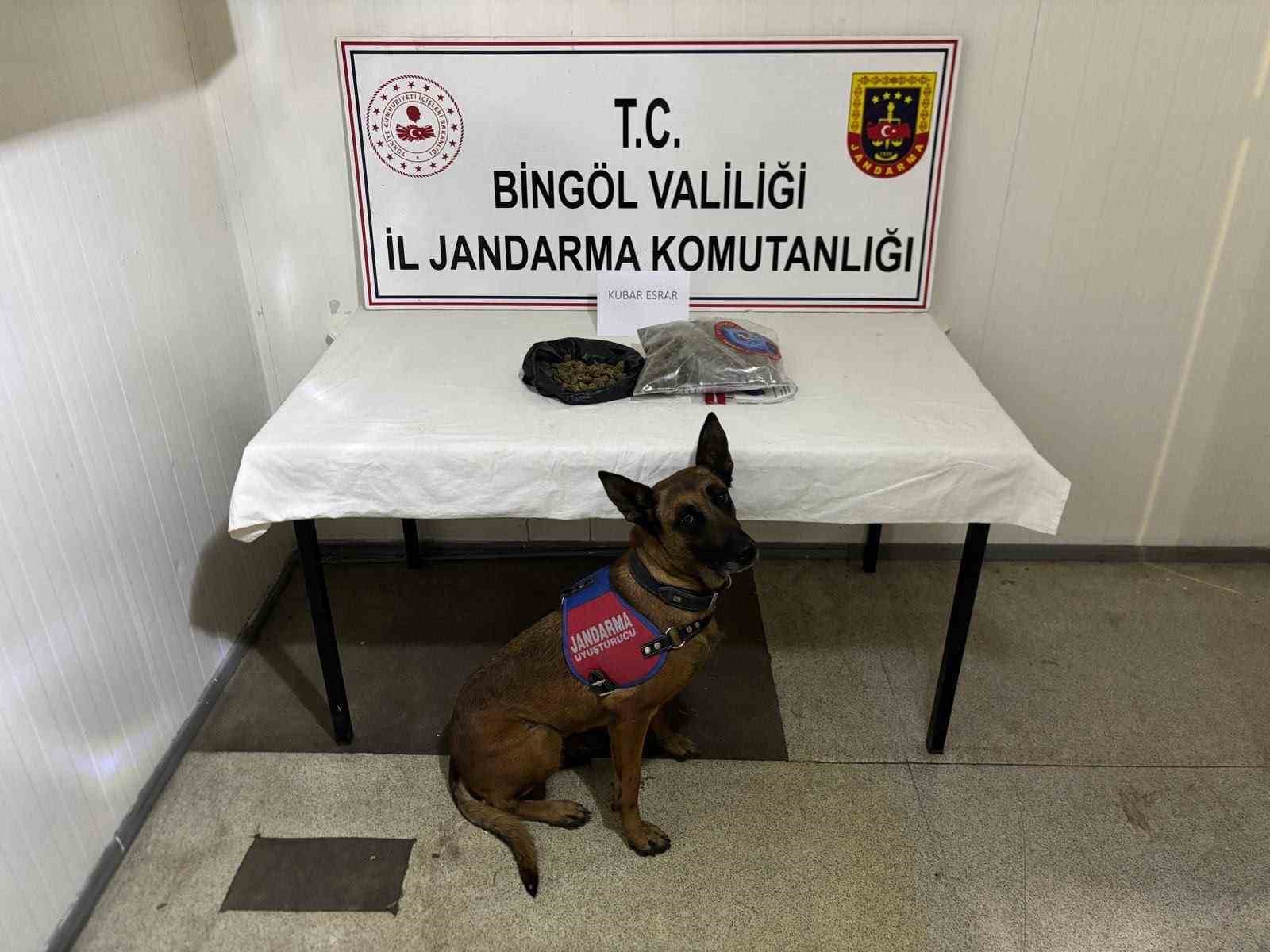 bingol-de-haklarinda-kesinlesmis-hapis-cezasi-bulunan-4-zanli-tutuklandi