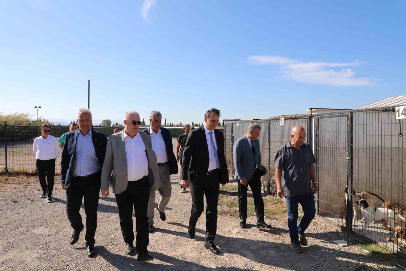 kaymakam-zafer-engin-sokak-hayvanlari-bakim-ve-rehabilitasyon-merkezi-ni-ziyaret-etti