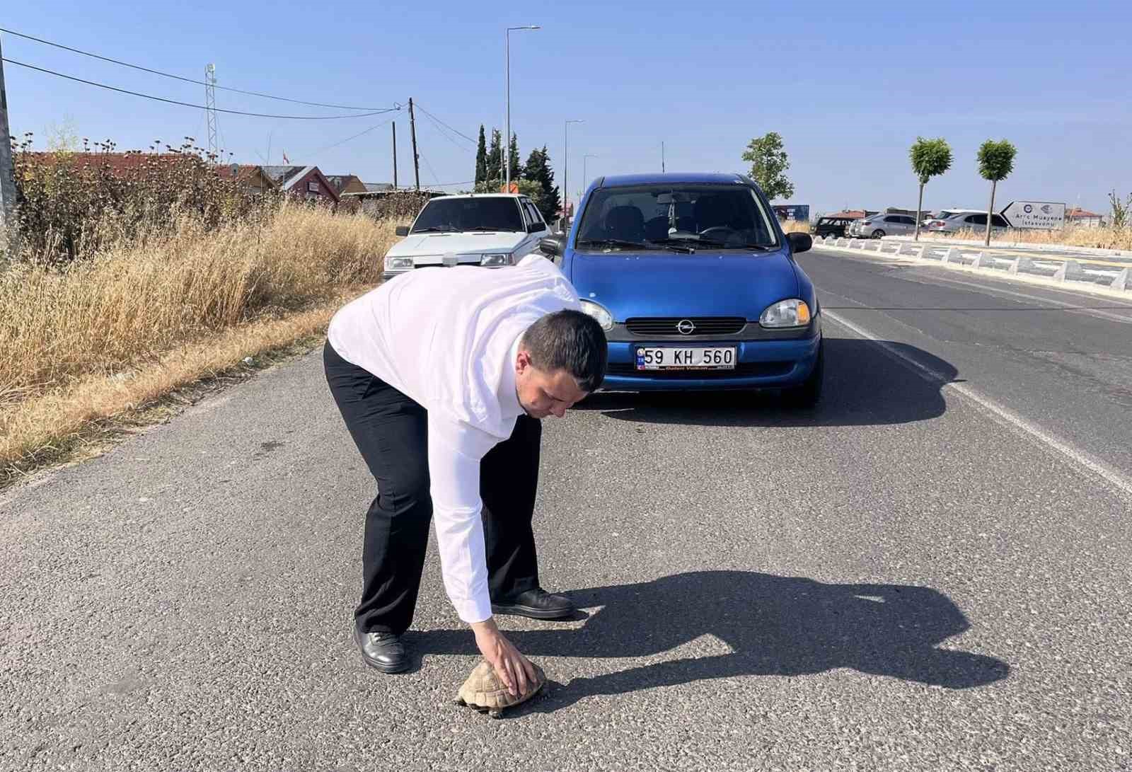 kaplumbagayi-ezilmekten-kurtardi