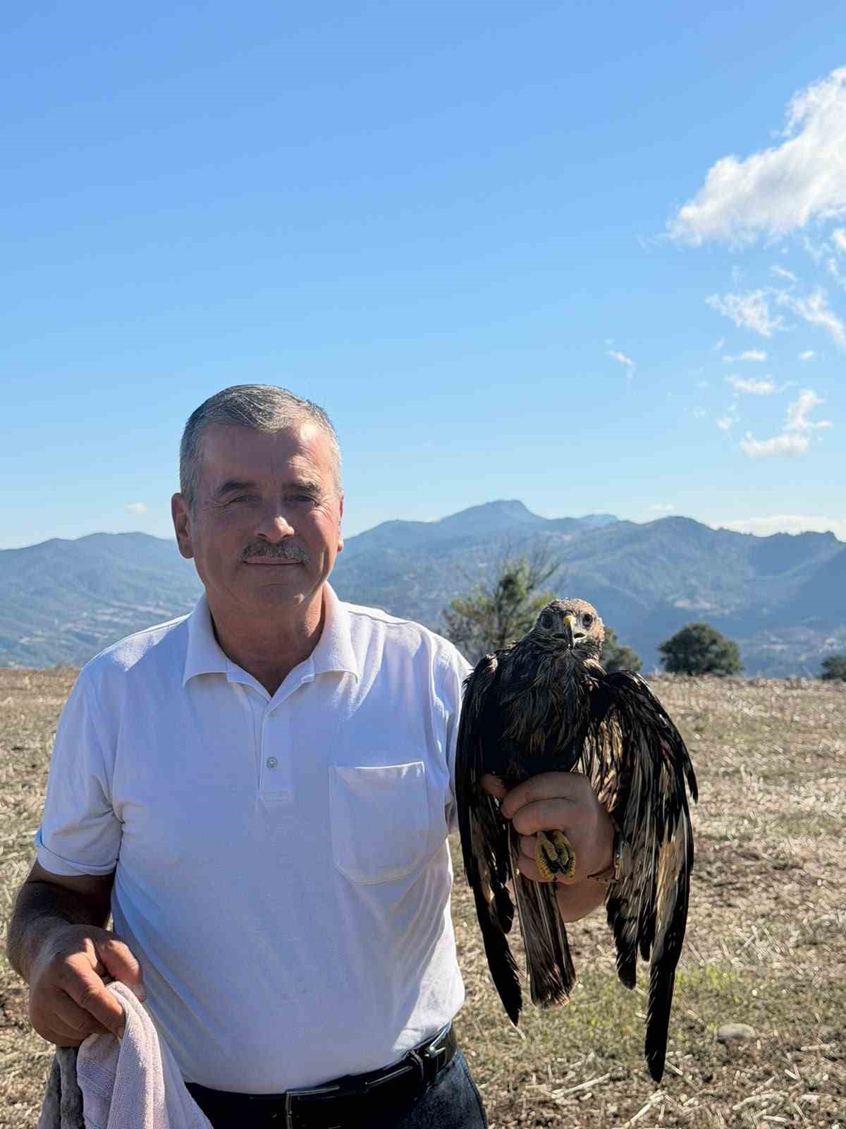 bolu-da-sicak-asfalta-yapisan-sahin-muhtarin-mudahalesiyle-kurtarildi