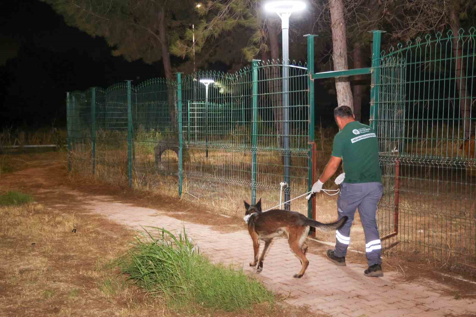 buyuksehir-ekipleri-yanginda-can-dostlar-icin-seferber-oldu