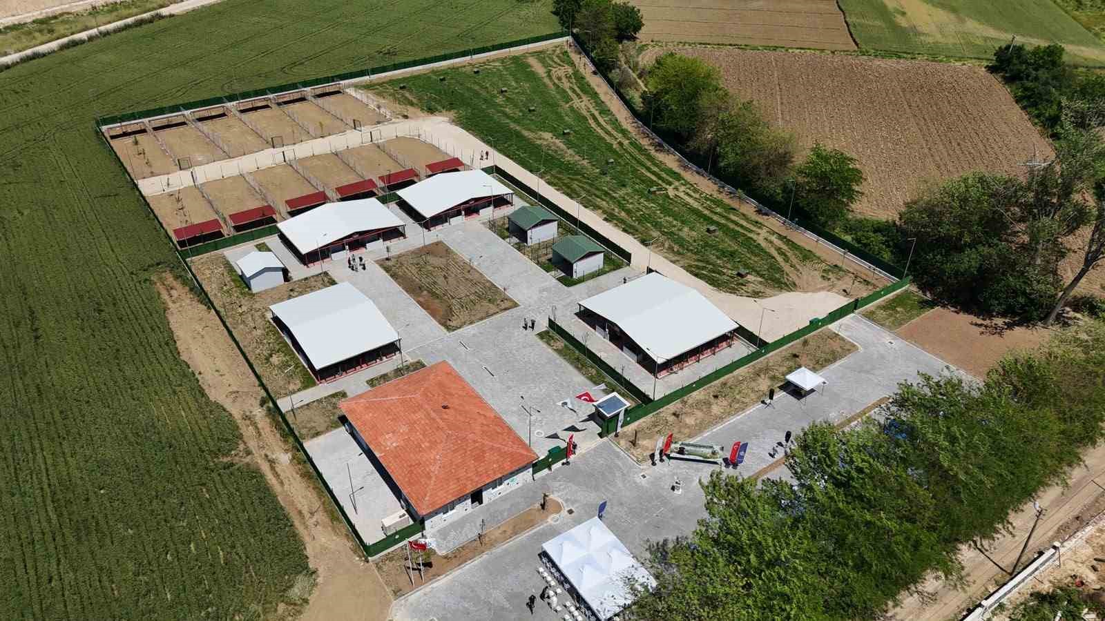 guney-marmara-nin-en-modern-hayvan-bakim-evi-yenisehir-e-acildi