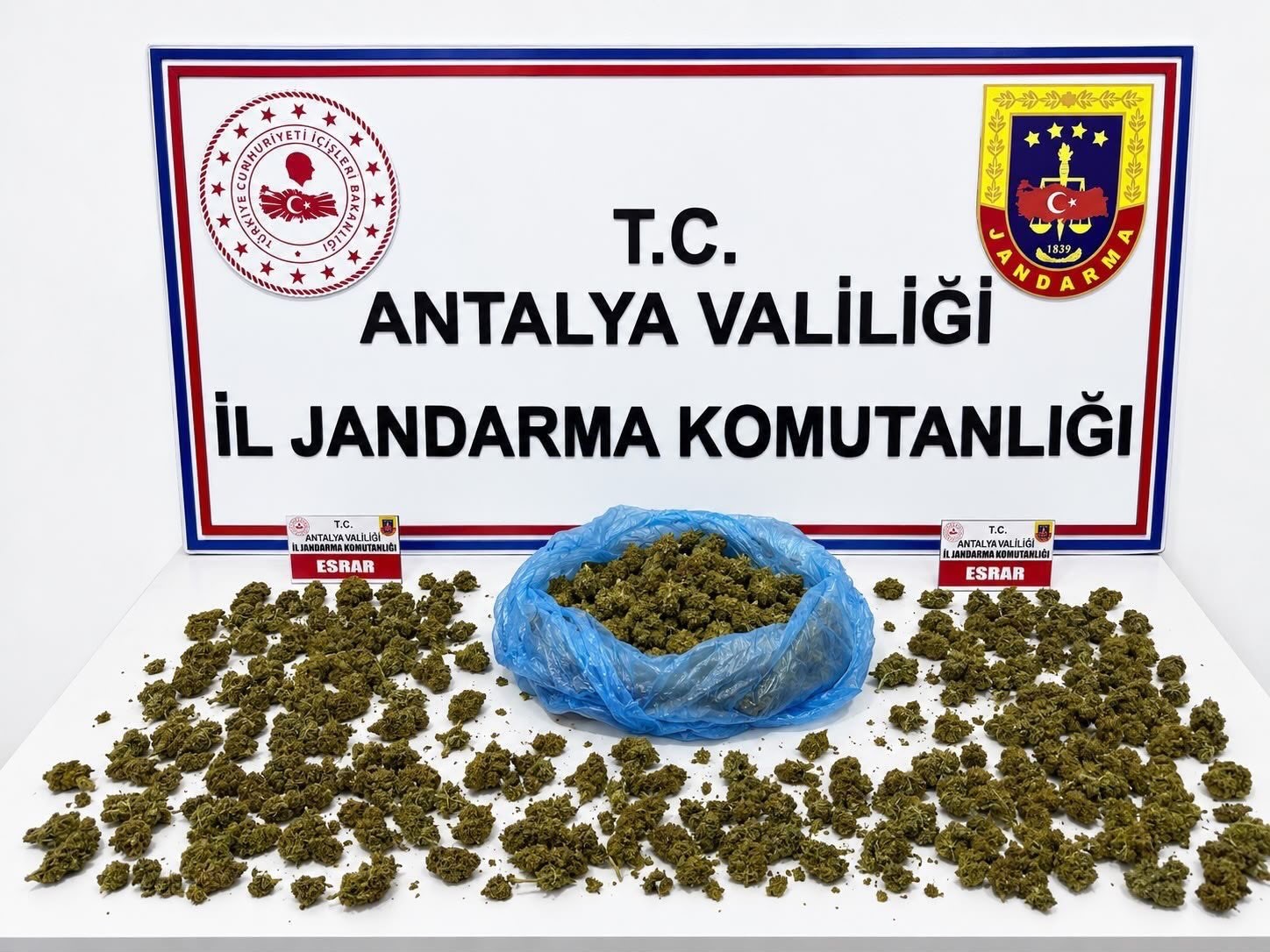 alanya-da-uyusturucu-operasyonunda-745-gram-esrar-ele-gecirildi