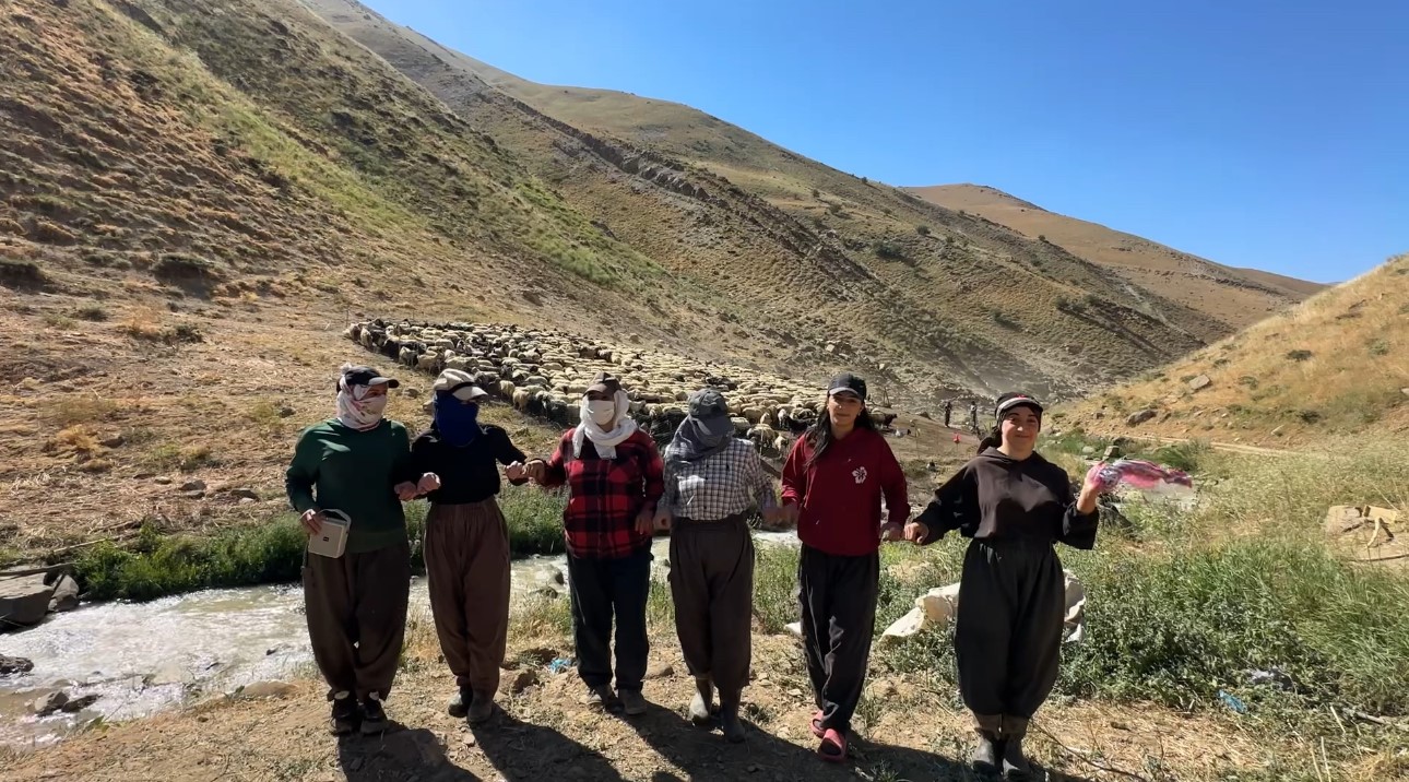 kizgin-gunes-atinda-halayli-sut-mesaisi-berivanlar-bakanliktan-golgelik-istiyor