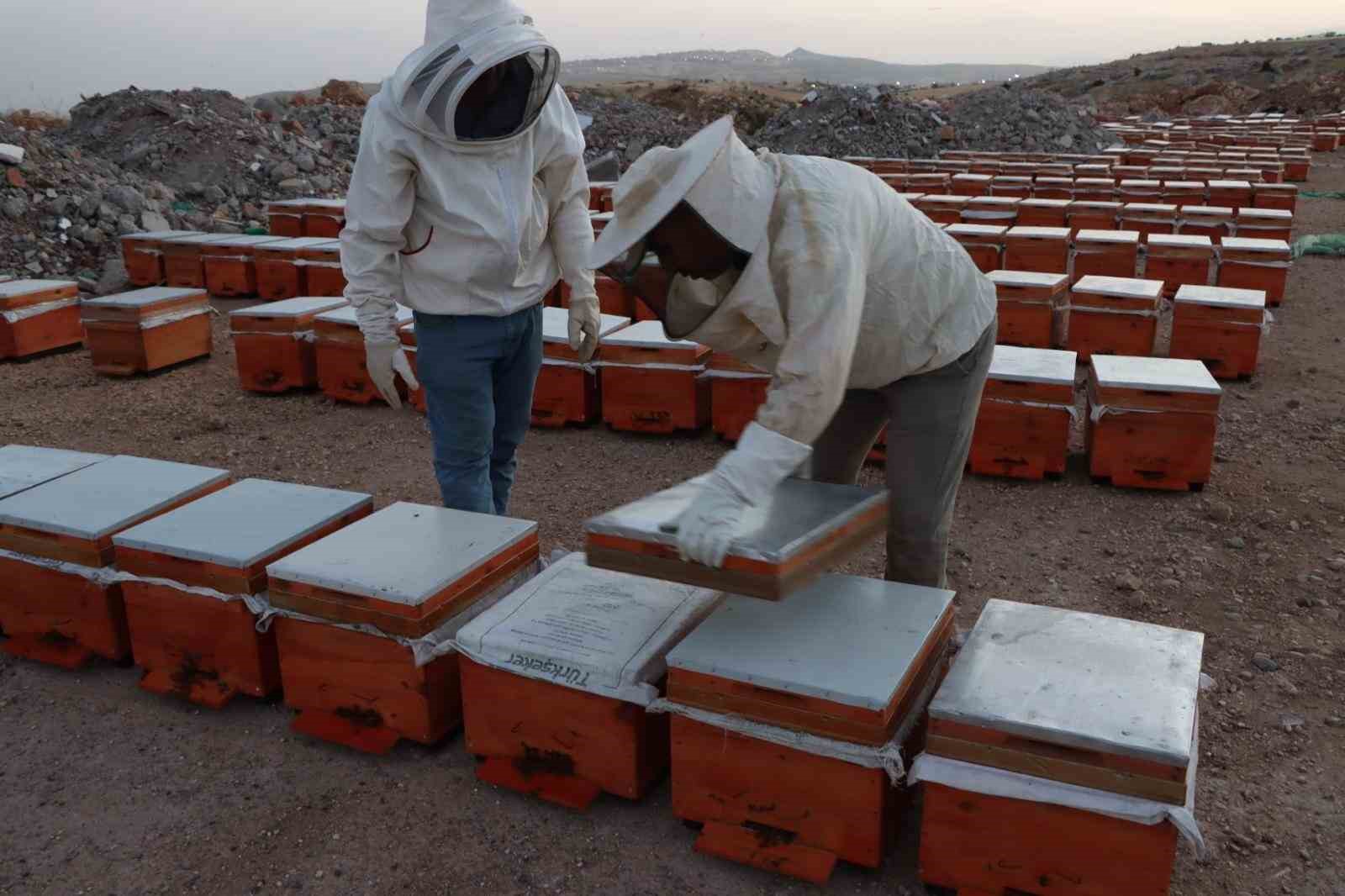 adiyaman-da-2026-yili-bal-fiyatlari-aciklandi