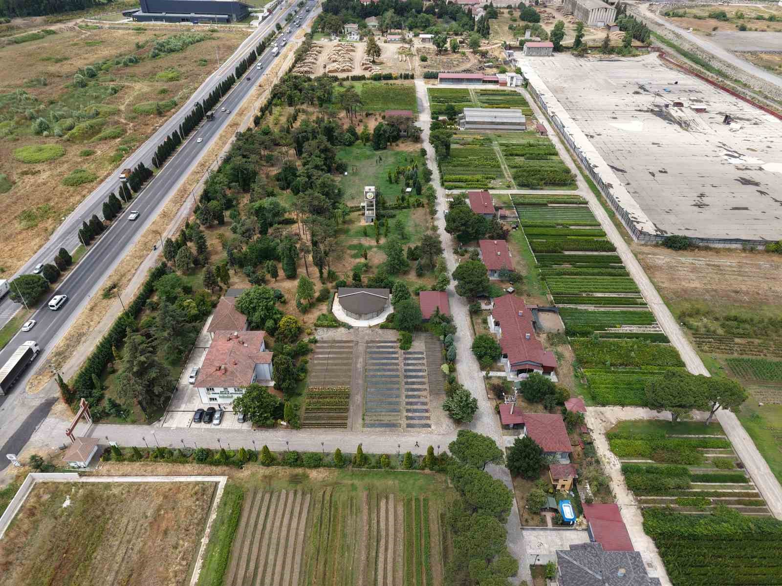 samsun-dan-yesil-vatan-a-yilda-3-milyon-fidan
